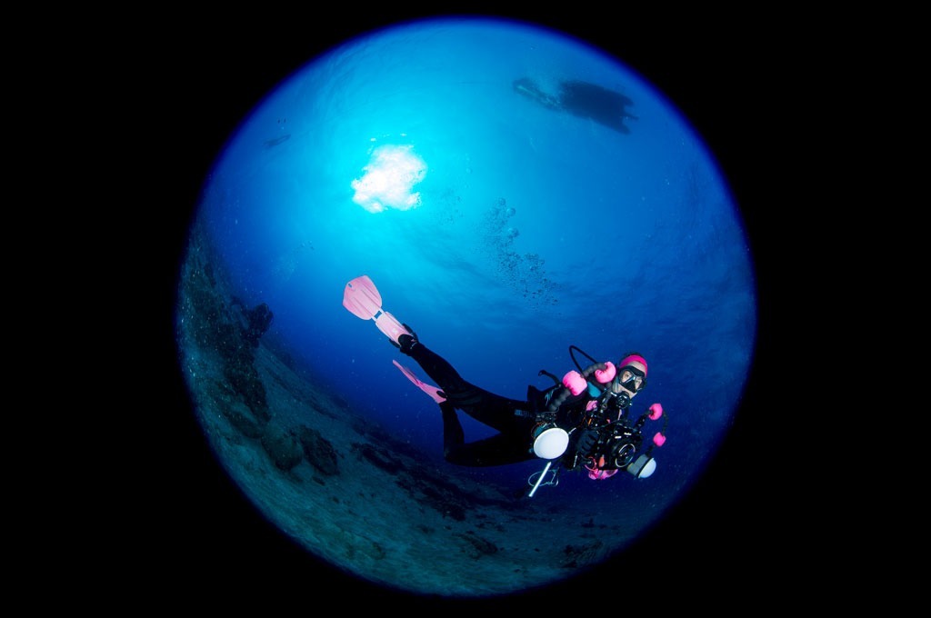 Actividades de fotografía submarina en centro de buceo en Tenerife Sur Las Galletas y La Gomera