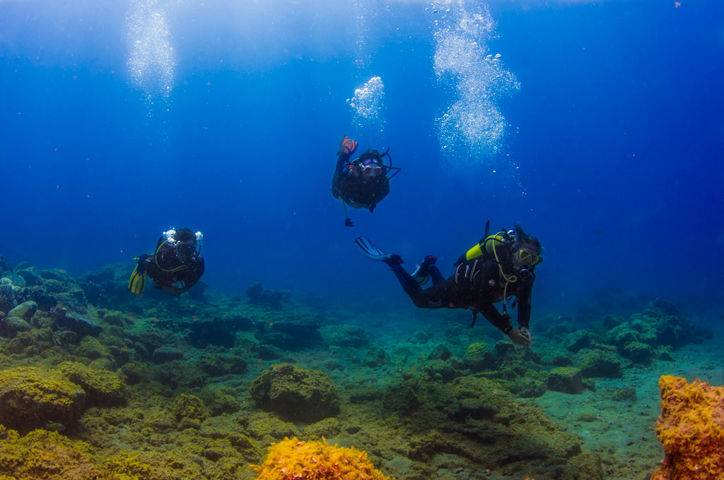 Tres buceadores en un dia de buceo durante una excursión nautica en Tenerife Sur Las Galletas