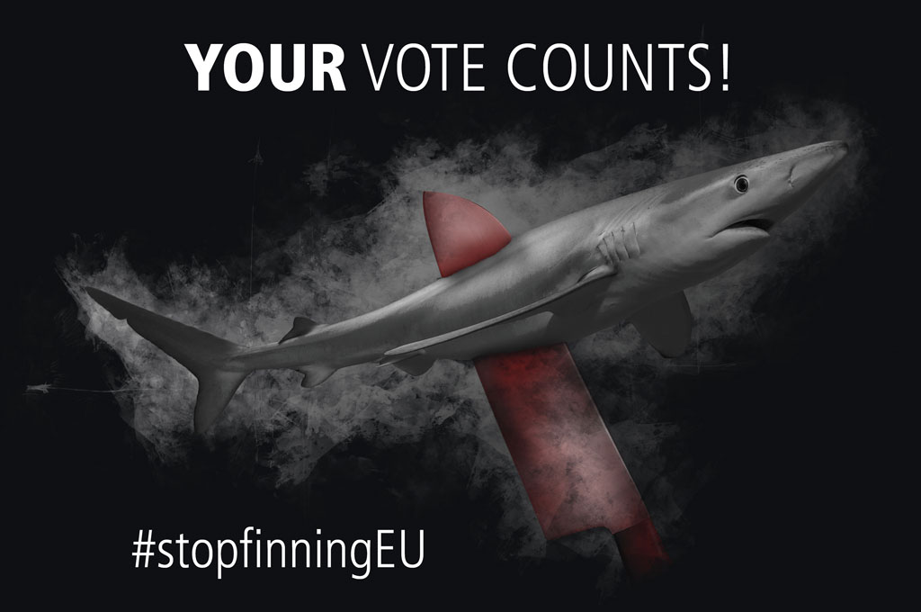 Iniciativa de conservacion - Stop finning -Los ciudadanos europeos lanzan una iniciativa para prohibir el comercio de aletas de tiburón en Europa